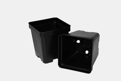700022C - 3.25-Inch Pint Square Deep Pots | T.O. Plastics